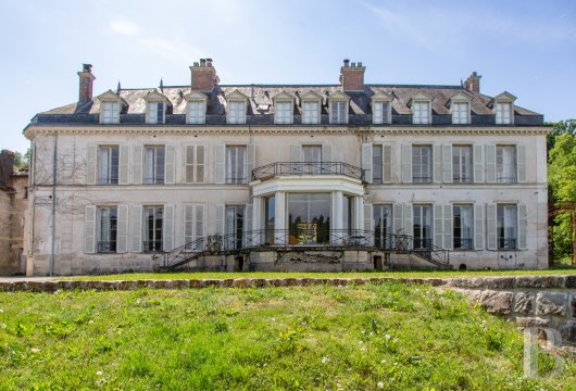 chateaux for sale France ile de france   - 5
