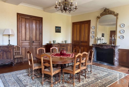 chateaux a vendre pays de loire   - 8