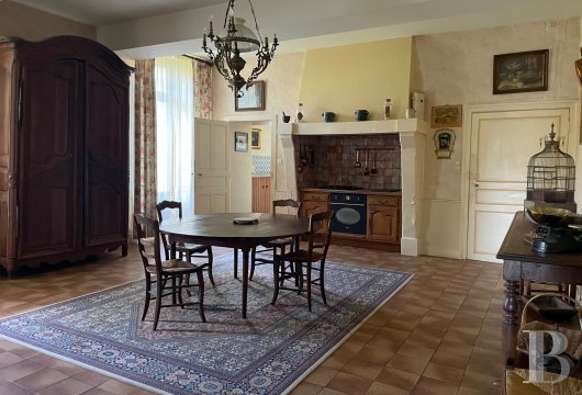 chateaux a vendre pays de loire   - 7