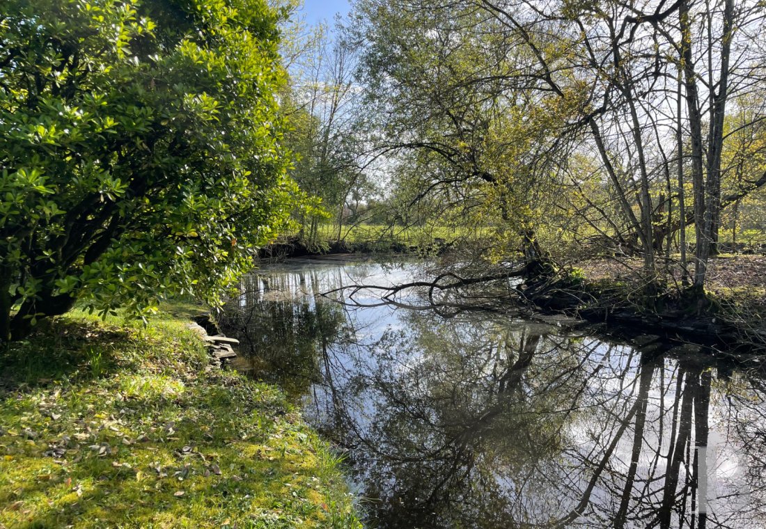 chateaux a vendre pays de loire   - 14