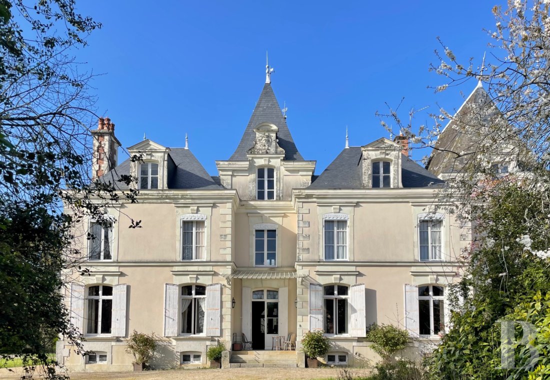 chateaux a vendre pays de loire   - 2
