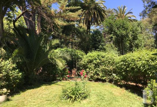 provence-cote-dazur - A 19th-century villa with a guesthouse and a 3,000m² plot with pines and palms in the Mediterranean town of Le Pradet, a stroll from beaches and shops