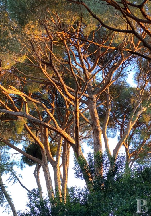 character properties France provence cote dazur   - 18