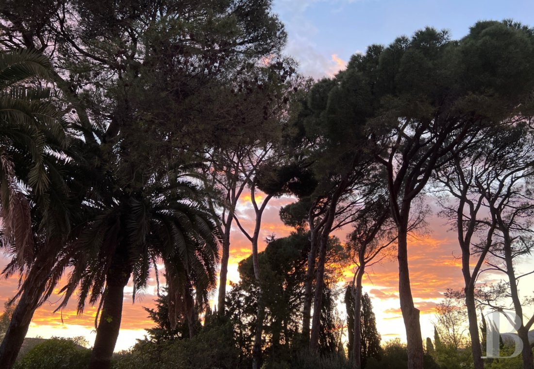 character properties France provence cote dazur   - 20