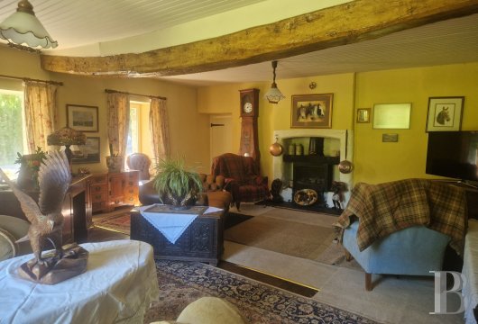 french equestrian properties for sale brittany   - 5