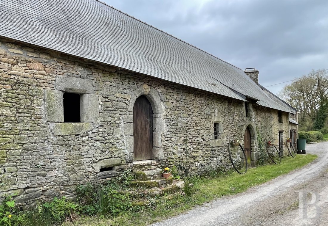french equestrian properties for sale brittany   - 1