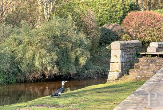 mills for sale France brittany   - 16