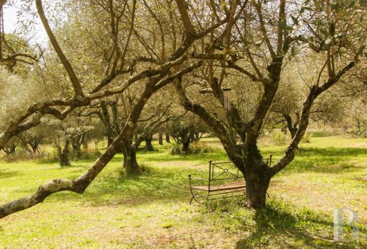 maisons de caractere a vendre paca   - 15