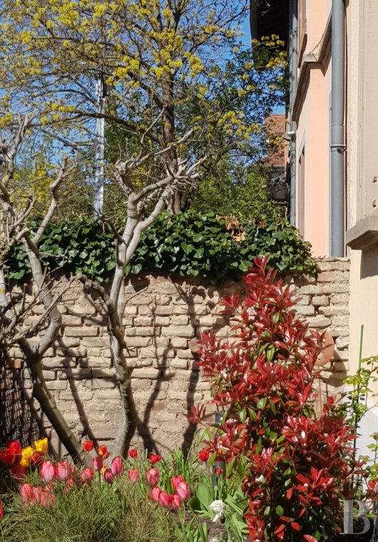 character properties France alsace   - 10