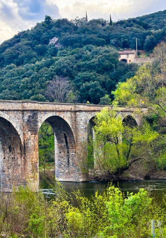 character properties France languedoc roussillon   - 11