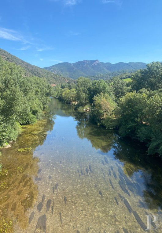 character properties France languedoc roussillon   - 12