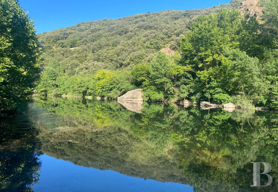 character properties France languedoc roussillon   - 13