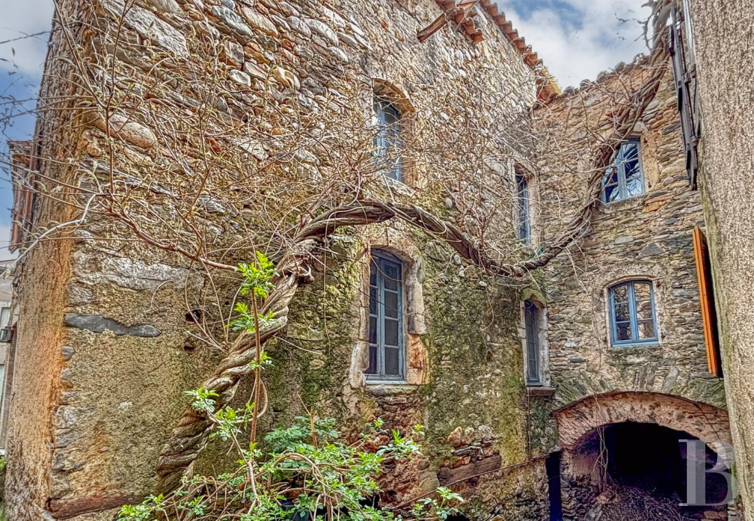 character properties France languedoc roussillon   - 1