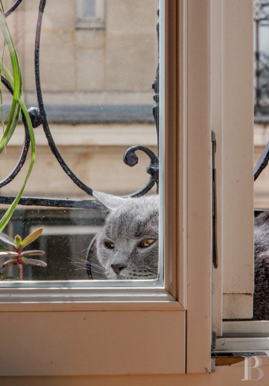 appartements a vendre paris   - 9