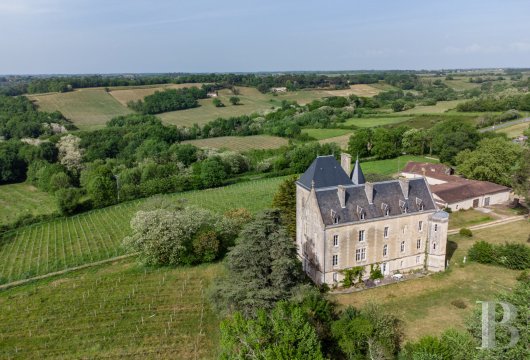 chateaux for sale France aquitaine   - 4