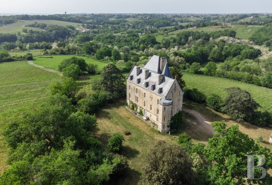 aquitaine - En Gironde, dans l’Entre-deux-Mers,  un château néogothique au-dessus des vignes, dans un parc de 25 ha