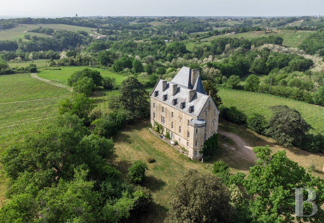 chateaux for sale France aquitaine   - 1