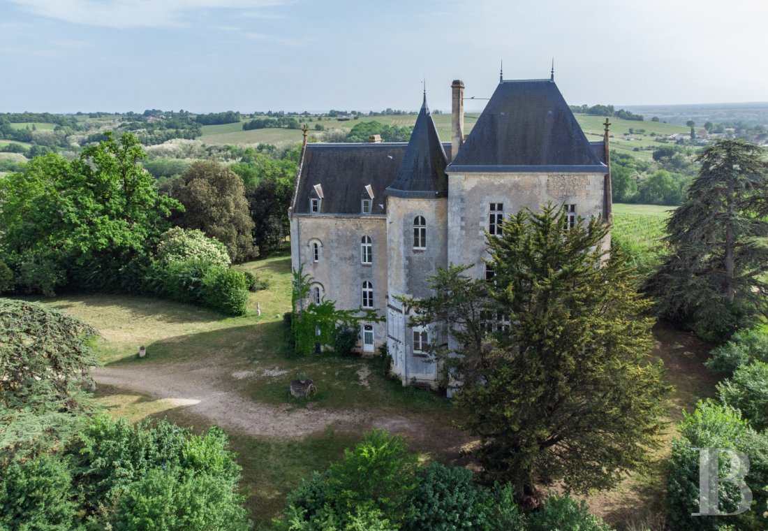 chateaux for sale France aquitaine   - 2
