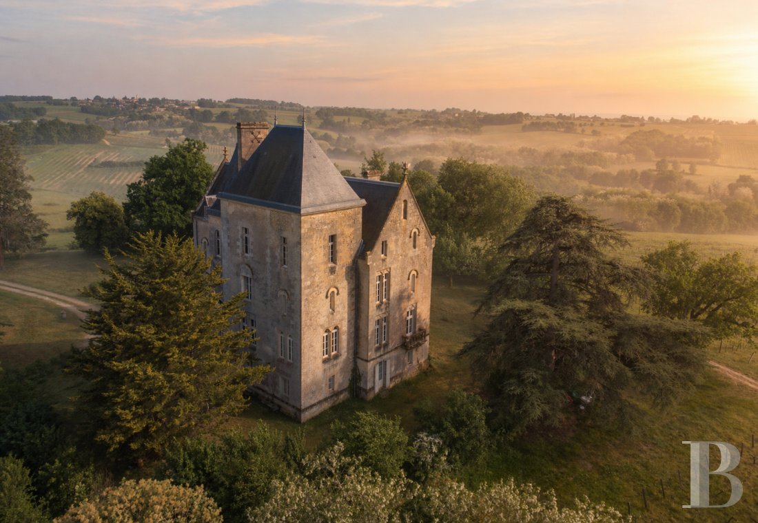 chateaux for sale France aquitaine   - 3