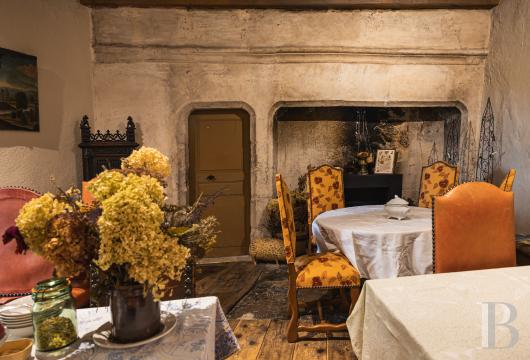 chateaux a vendre rhones alpes   - 10