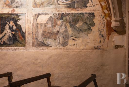 chateaux a vendre rhones alpes   - 15