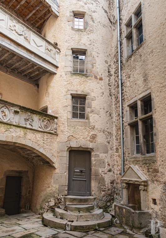 chateaux a vendre rhones alpes   - 3