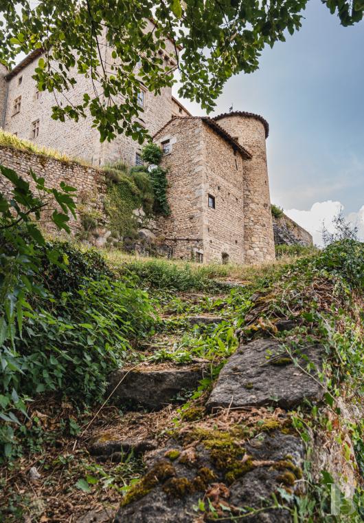 chateaux a vendre rhones alpes   - 6