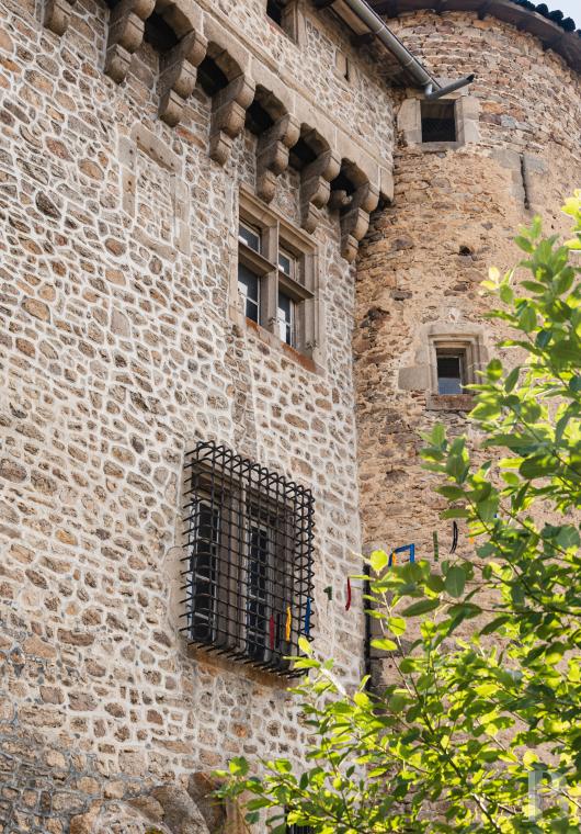 chateaux a vendre rhones alpes   - 4