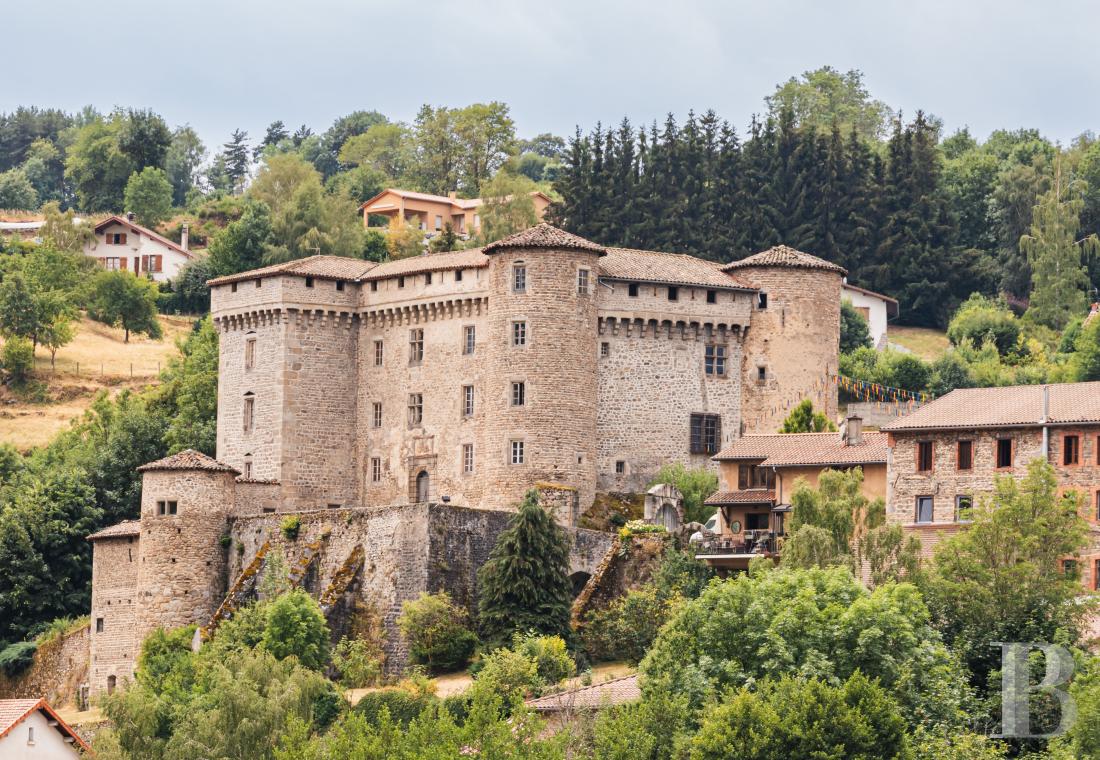 chateaux a vendre rhones alpes   - 2