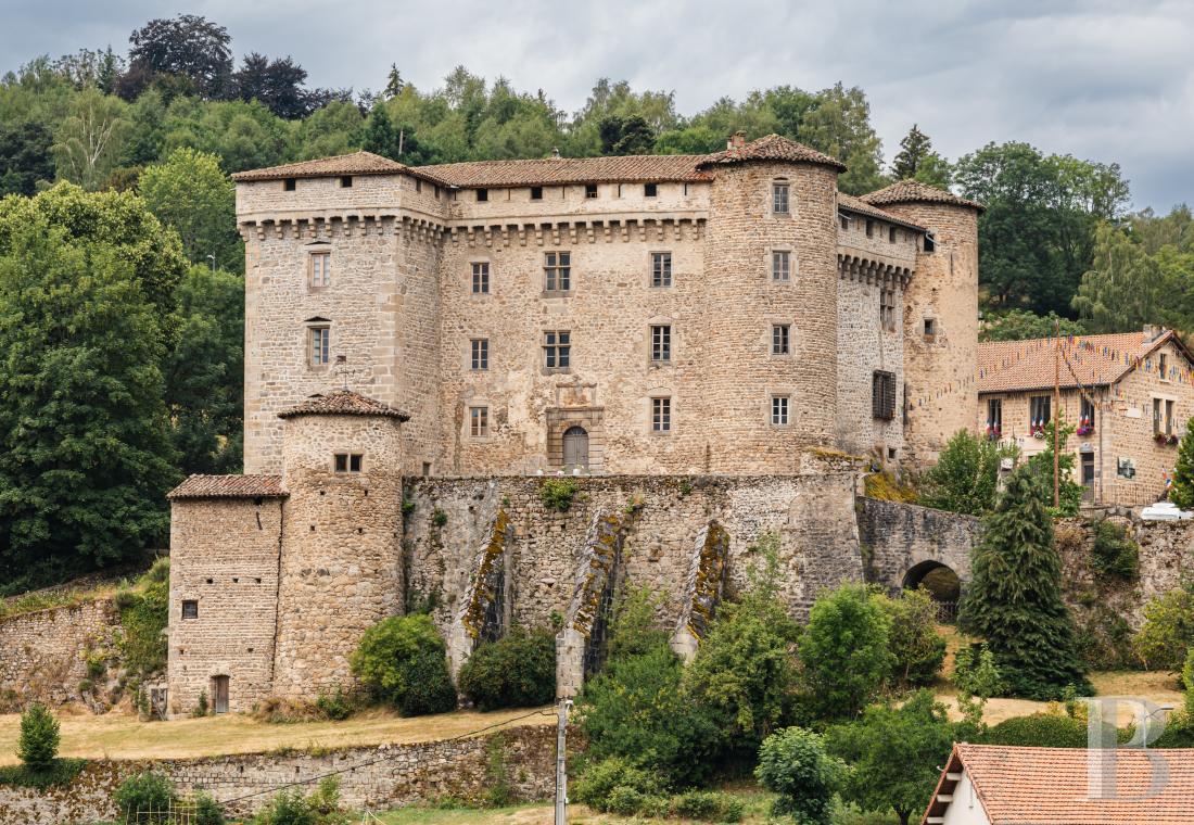 chateaux a vendre rhones alpes   - 1