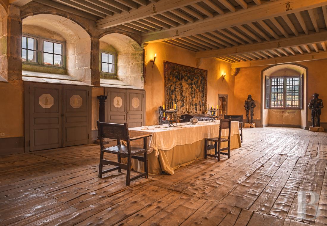 chateaux a vendre rhones alpes   - 8