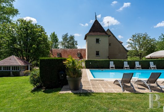 chateaux for sale France center val de loire   - 19