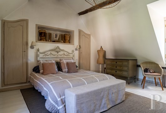 chateaux for sale France center val de loire   - 9