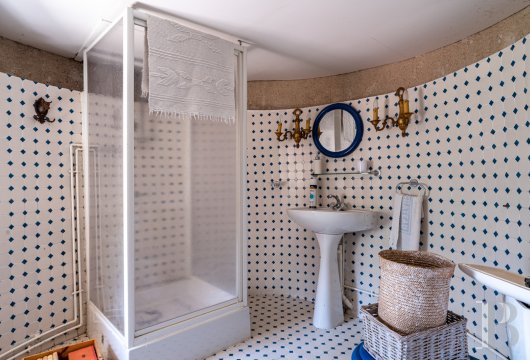 chateaux for sale France center val de loire   - 14