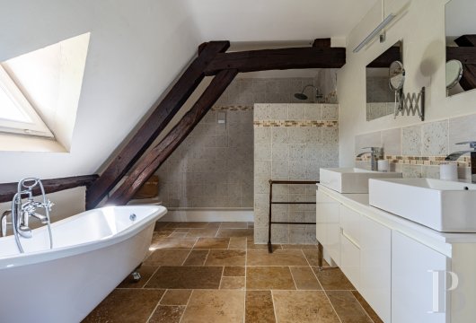 chateaux for sale France center val de loire   - 11