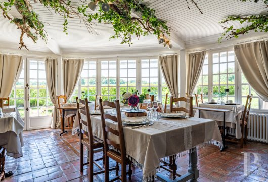 chateaux for sale France center val de loire   - 7