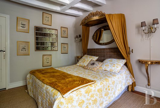 chateaux for sale France center val de loire   - 12