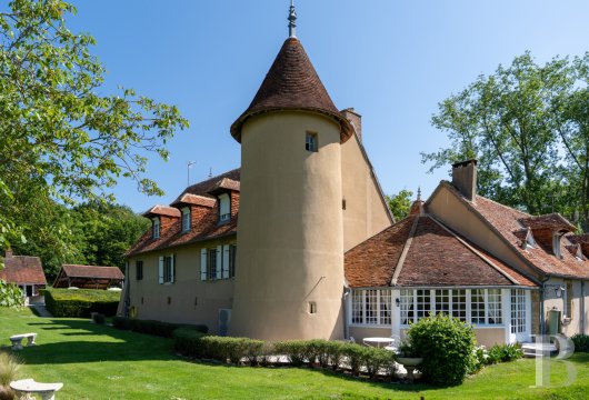 chateaux for sale France center val de loire   - 21