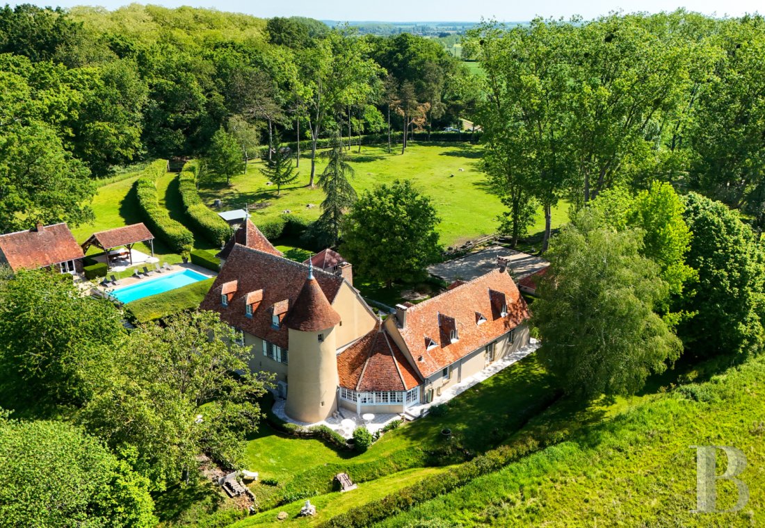 chateaux for sale France center val de loire   - 1