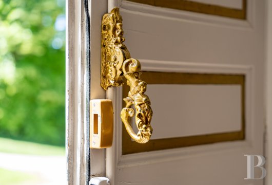 chateaux for sale France center val de loire   - 7