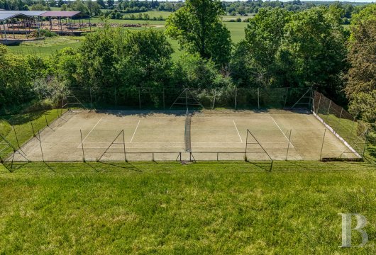 chateaux for sale France center val de loire   - 17