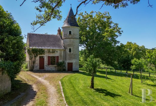 chateaux for sale France center val de loire   - 11