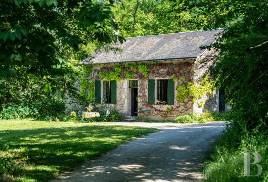 chateaux for sale France center val de loire   - 15