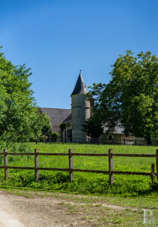 chateaux for sale France center val de loire   - 12
