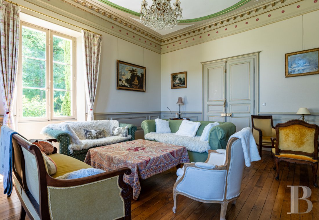 chateaux for sale France center val de loire   - 6