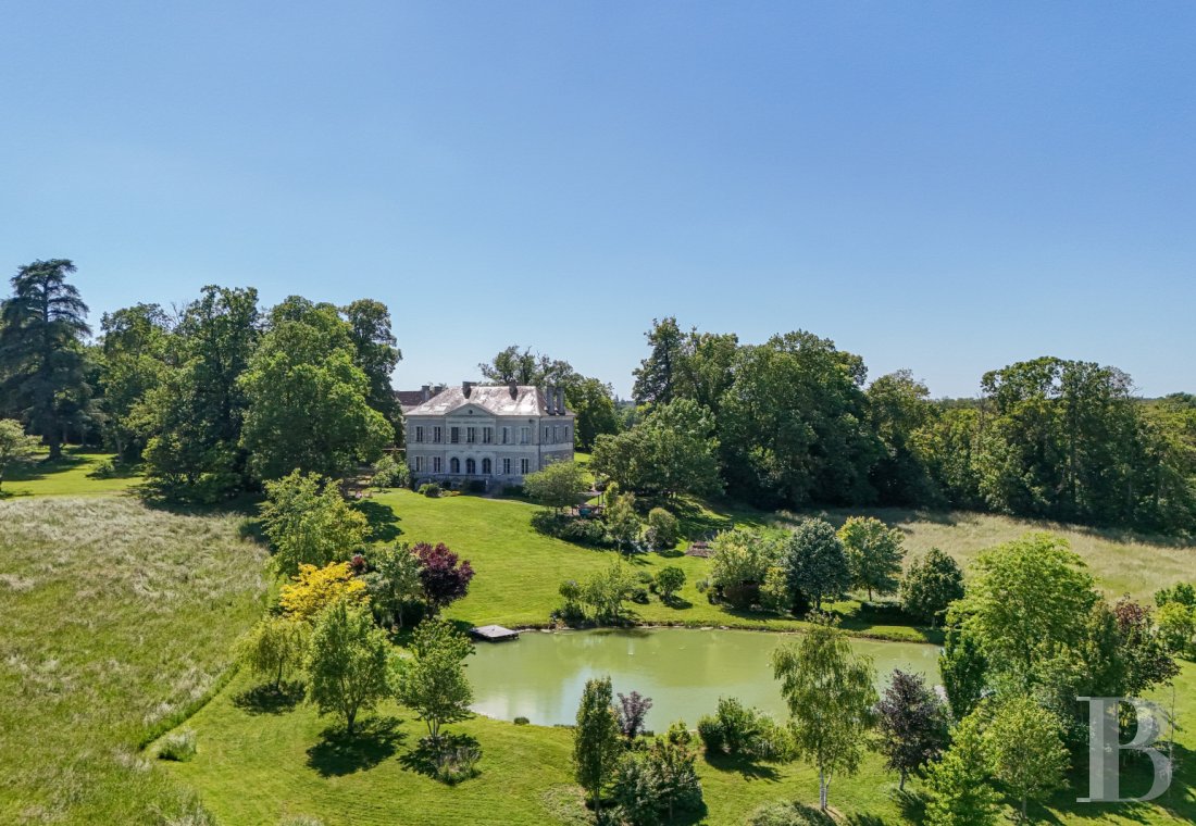 chateaux for sale France center val de loire   - 19