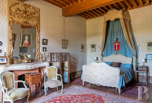 chateaux for sale France rhones alps   - 19