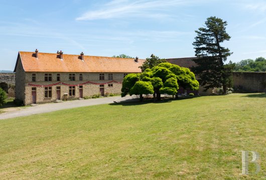 chateaux for sale France rhones alps   - 25