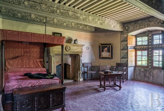 chateaux for sale France rhones alps   - 24