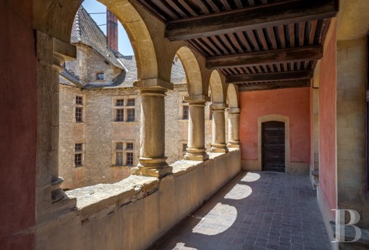 chateaux for sale France rhones alps   - 20